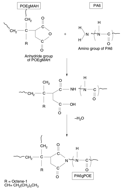 Chemical reaction between PA6 and POE-g-MAH