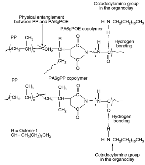 Interaction between PA/PA6-g-MAH/Clay