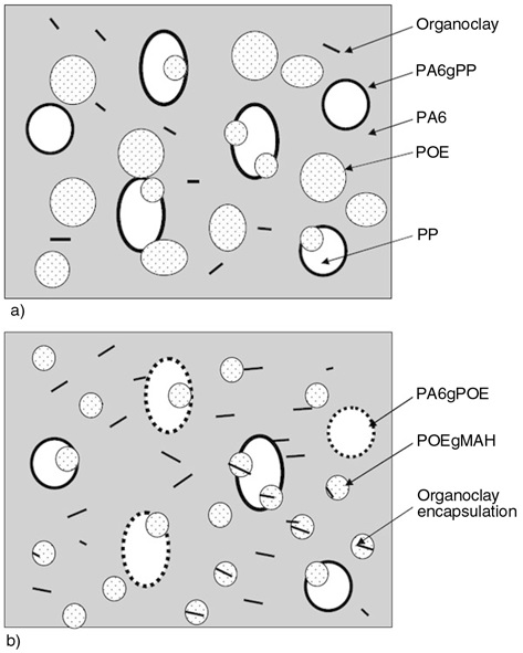  Schematic of morphology of PA6/PP/PP-g-MAH/Organoclay in both states: a) in the presence of POE b) in the presence of POE-g-MAH