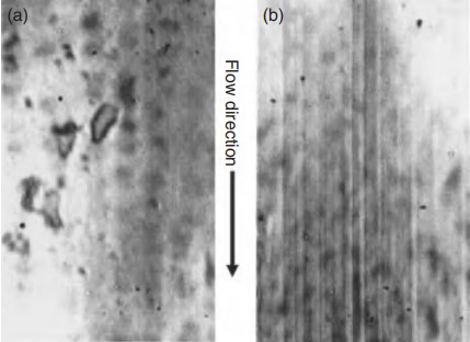 Formation of streaks on the polymer melt